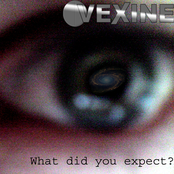 Vexine: What Did You Expect?