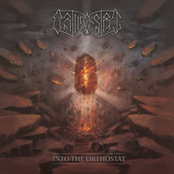 Into The Orthostat