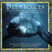 Deep Voices - Recordings Of Humpback, Blue And Right Whales