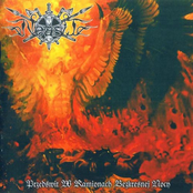 Przedswit W Ramionach Bezkresnej Nocy