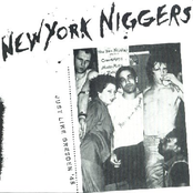 n.y. niggers