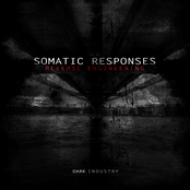 Reverse Engineering by Somatic Responses