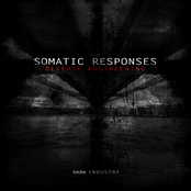 Subnitz by Somatic Responses