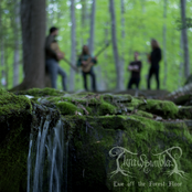 Live Off the Forest Floor