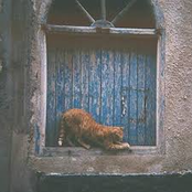 On a Warm Spring Night You Stunned Me