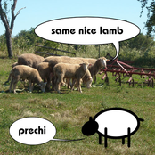 Thieves Are Loose by Same Nice Lamb