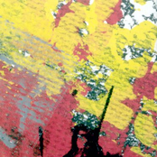 Luna y Panorama de los Insectos