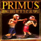 My Friend Fats by Primus