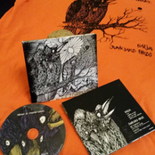 OISEAUX DE MAUVAIS AUGURE