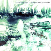 Backwater Artifacts by Anomalous Leaf