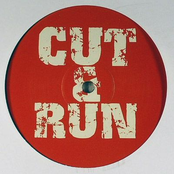 Over Vinyl