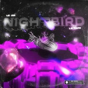 NightBird