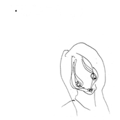 Não é tarde Nem é certo