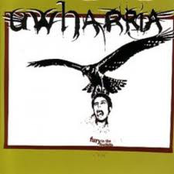 Fury In The Foothills