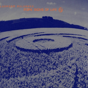 Blue Room Released Volume 4: More Signs Of Life