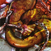 XXX Maniak-Throat Plunger-Slimewave Series Vol.5 (Split)