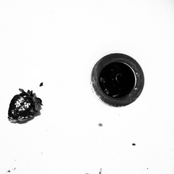 Apocalypse Everything