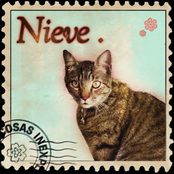 Nieve