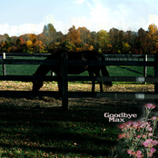 Goodbye Max [Explicit]