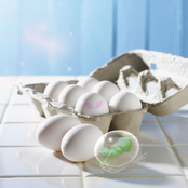 Initial Public Offering