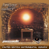 Symphony of the Spiritual Amnesty (Instrumental Version)