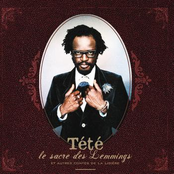 Le Sacre Des Lemmings (interlude) by Tété