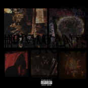 The Vacants