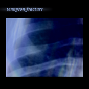 tennyson fracture