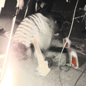 Мама Не Против