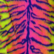 fluorescent tiger