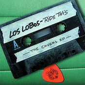 Patria by Los Lobos