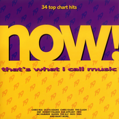 Now That's What I Call Music! 19