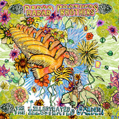 The Illustrated Garden