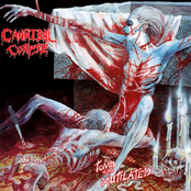 Cannibal Corpse: Tomb of the Mutilated