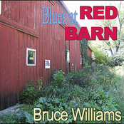 Bruce Williams: Blues At Red Barn