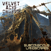 Evil Toxin by Velvet Acid Christ