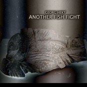 Another Fish Fight