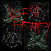 Noise Frenzy 8-way Split
