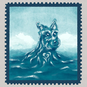 no voy a salir de casa