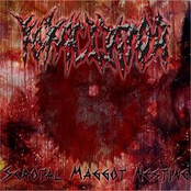 Scrotal Maggot Nesting