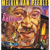 Blinded By Your Stuff by Melvin Van Peebles