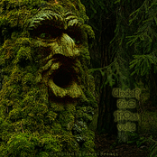 Under The Moss Vol2.