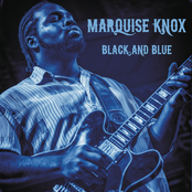 Marquise Knox: Black and Blue