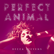 Becca Stevens: Perfect Animal