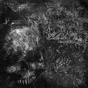 Split W/ Midvale Park