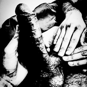 Letting The Termites Crawl Inside Your Pisshole To Eat The Morning Wood