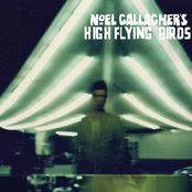 Noel Gallagher: Noel Gallagher's High Flying Birds