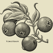 blackthorn