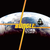 Down To Earth by Bungle