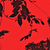 Trha: Monta Ana Also